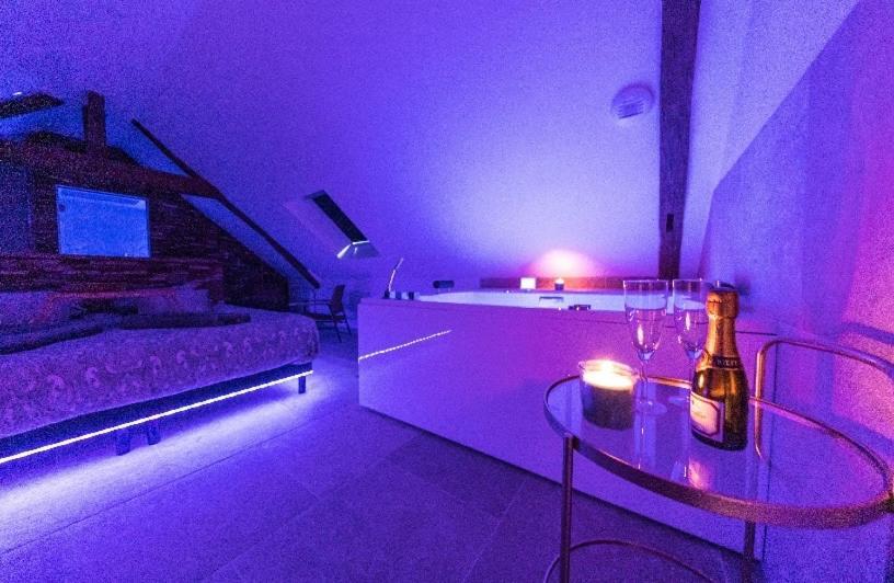 L'Evasion-Spa-Hammam-Sauna Illimite - 2 A 4 Pers Saint-Cyr-sur-Loire Eksteriør bilde